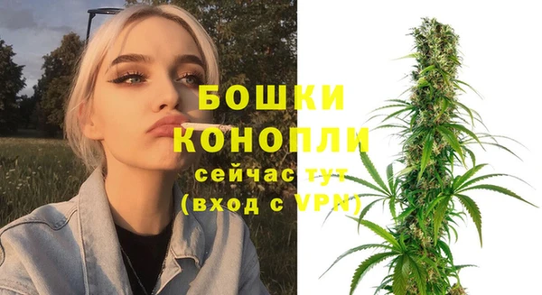сатива Семёнов