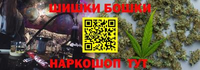 индика Бийск