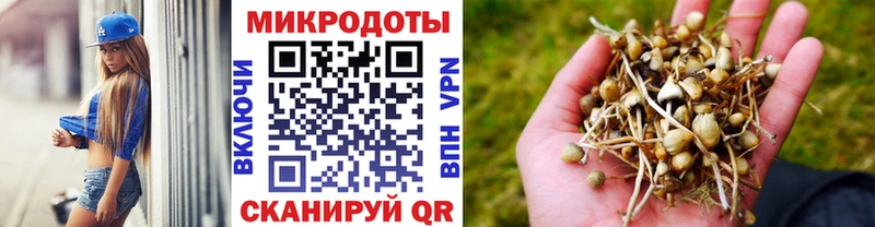 Псилоцибиновые грибы Cubensis Фрязино