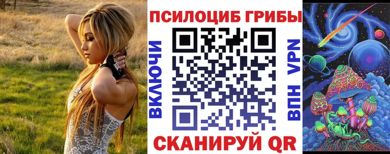 Псилоцибиновые грибы прущие грибы Фрязино