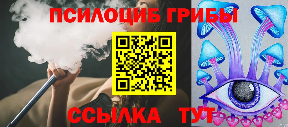 Галлюциногенные грибы MAGIC MUSHROOMS  Псилоцибиновые грибы Cubensis  Вход с VPN  Фрязино 
