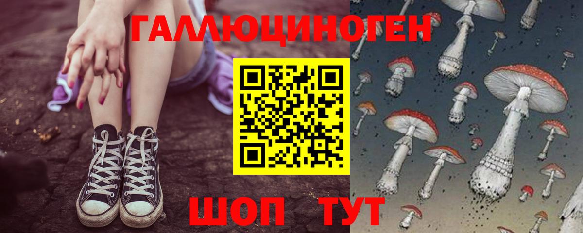 Галлюциногенные грибы мухоморы Фрязино