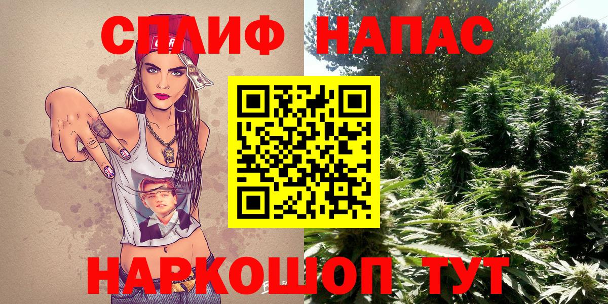 Канабис планчик Фрязино